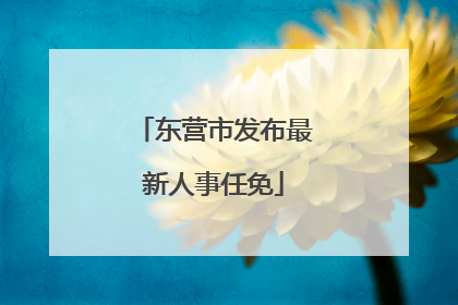 东营市发布最新人事任免