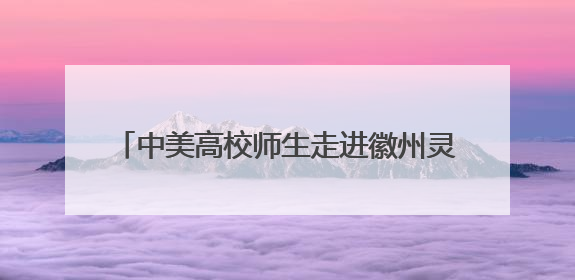 中美高校师生走进徽州灵山 感知中华文脉基底