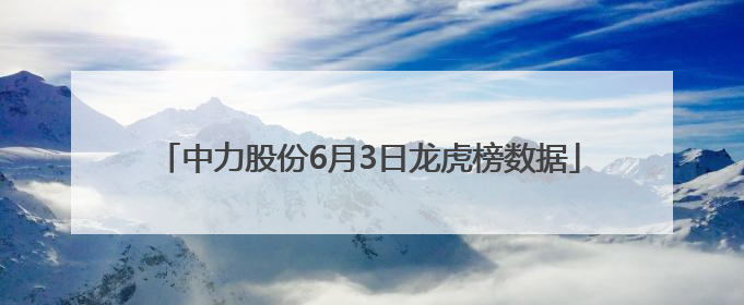 中力股份6月3日龙虎榜数据