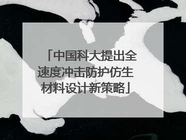 中国科大提出全速度冲击防护仿生材料设计新策略