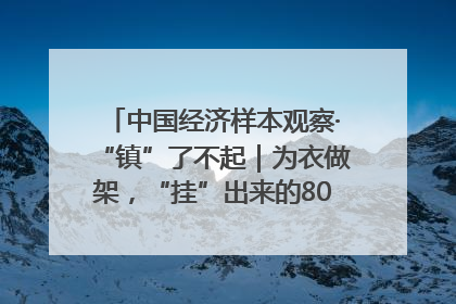 中国经济样本观察·“镇”了不起｜为衣做架，“挂”出来的80亿元“衣架产业”