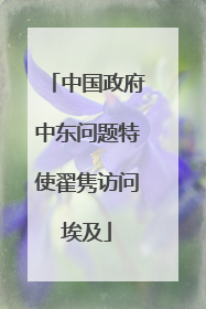 中国政府中东问题特使翟隽访问埃及