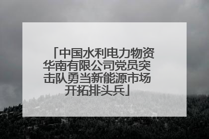 中国水利电力物资华南有限公司党员突击队勇当新能源市场开拓排头兵