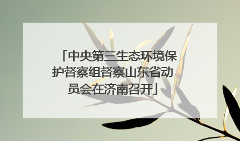 中央第三生态环境保护督察组督察山东省动员会在济南召开