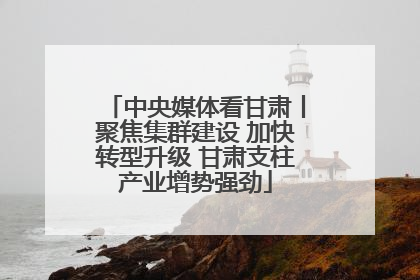 中央媒体看甘肃丨聚焦集群建设 加快转型升级 甘肃支柱产业增势强劲