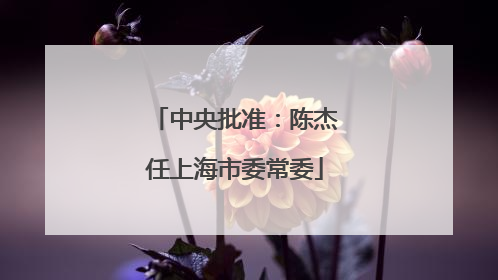 中央批准：陈杰任上海市委常委