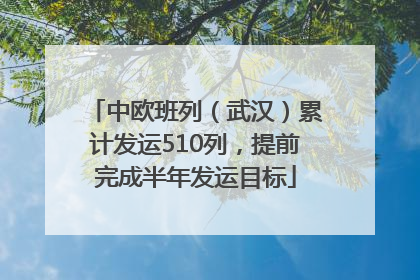 中欧班列（武汉）累计发运510列，提前完成半年发运目标