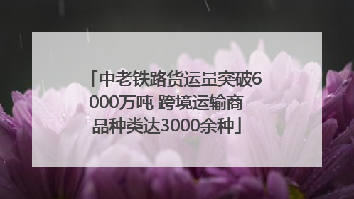 中老铁路货运量突破6000万吨 跨境运输商品种类达3000余种