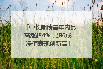 中长期债基年内最高涨超4%，超6成净值表现创新高