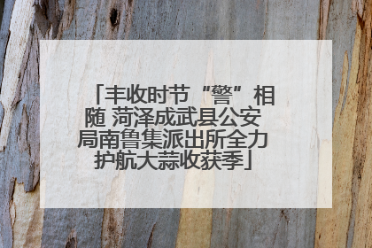 丰收时节“警”相随 菏泽成武县公安局南鲁集派出所全力护航大蒜收获季