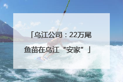 乌江公司：22万尾鱼苗在乌江“安家”