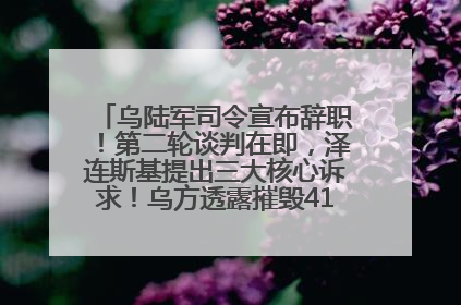 乌陆军司令宣布辞职！第二轮谈判在即，泽连斯基提出三大核心诉求！乌方透露摧毁41架俄战略轰炸机