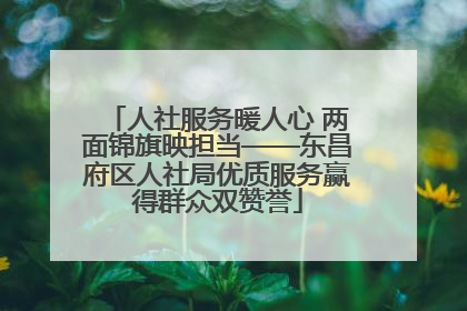 人社服务暖人心 两面锦旗映担当——东昌府区人社局优质服务赢得群众双赞誉