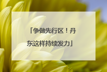 争做先行区！丹东这样持续发力