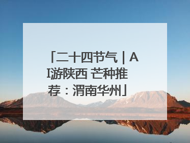 二十四节气｜AI游陕西 芒种推荐：渭南华州