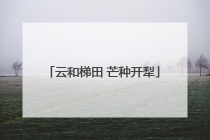 云和梯田 芒种开犁