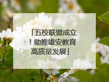 五校联盟成立！助推雄安教育高质量发展