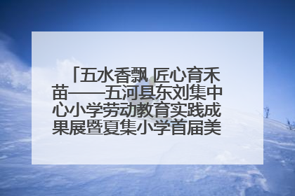 五水香飘 匠心育禾苗——五河县东刘集中心小学劳动教育实践成果展暨夏集小学首届美食节盛大举行