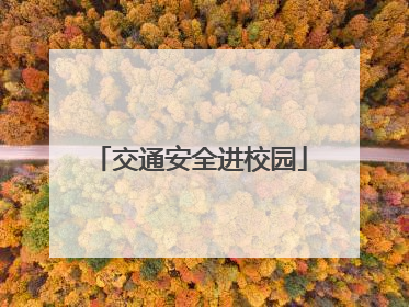 交通安全进校园