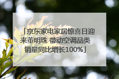 京东家电家居惊喜日迎来董明珠 带动空调品类销量同比增长100%