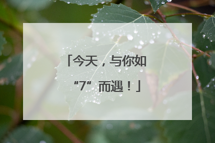 今天，与你如“7”而遇！