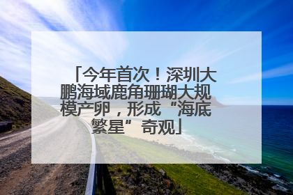 今年首次！深圳大鹏海域鹿角珊瑚大规模产卵，形成“海底繁星”奇观