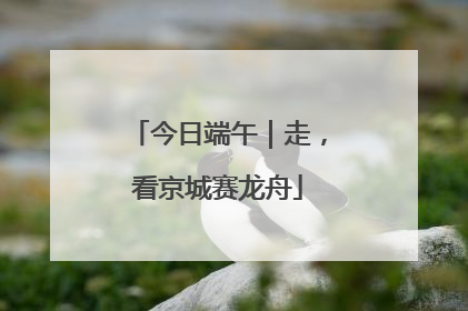 今日端午｜走，看京城赛龙舟