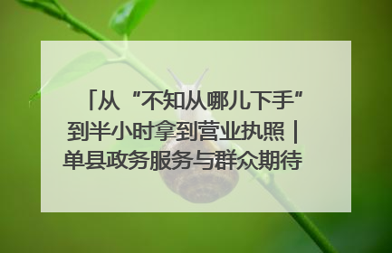 从“不知从哪儿下手”到半小时拿到营业执照｜单县政务服务与群众期待的“双向奔赴”