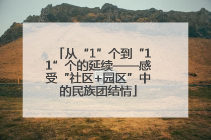从“1”个到“11”个的延续——感受“社区+园区”中的民族团结情