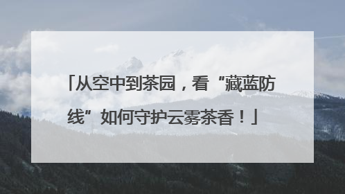 从空中到茶园，看“藏蓝防线”如何守护云雾茶香！