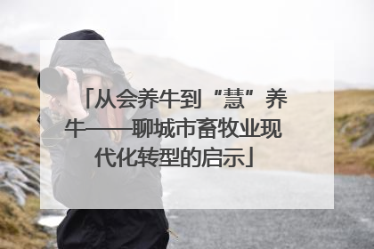 从会养牛到“慧”养牛——聊城市畜牧业现代化转型的启示