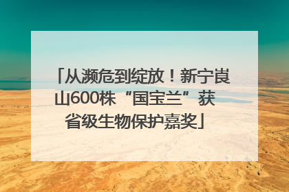 从濒危到绽放！新宁崀山600株“国宝兰”获省级生物保护嘉奖