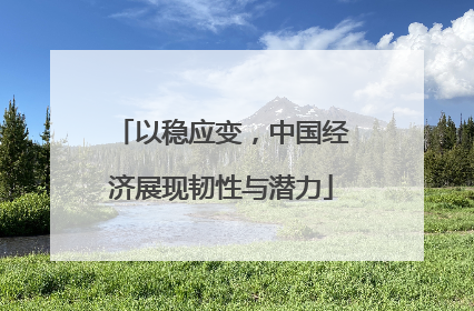 以稳应变，中国经济展现韧性与潜力