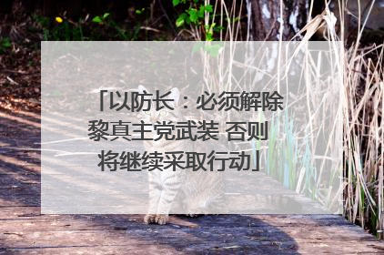 以防长：必须解除黎真主党武装 否则将继续采取行动