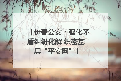 伊春公安：强化矛盾纠纷化解 织密基层“平安网”