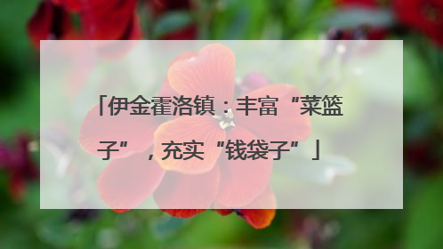 伊金霍洛镇：丰富“菜篮子”，充实“钱袋子”