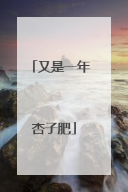 又是一年杏子肥