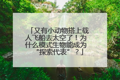 又有小动物搭上载人飞船去太空了！为什么模式生物能成为“探索代表”？