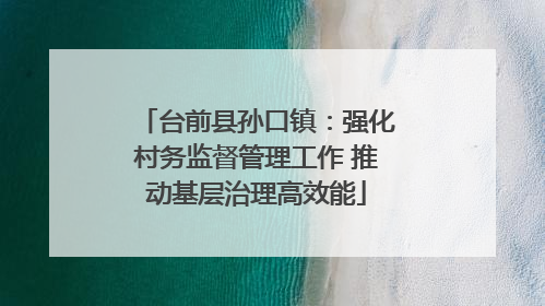 台前县孙口镇：强化村务监督管理工作 推动基层治理高效能