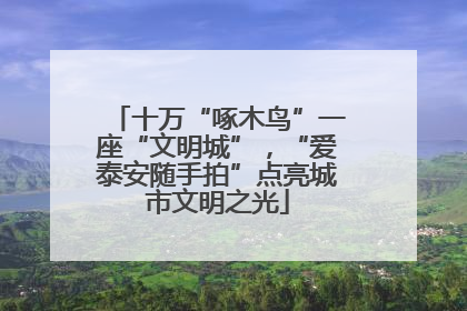十万“啄木鸟”一座“文明城”，“爱泰安随手拍”点亮城市文明之光