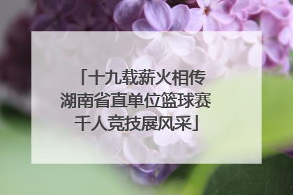 十九载薪火相传 湖南省直单位篮球赛千人竞技展风采