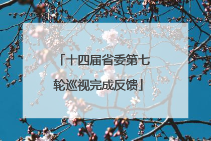 十四届省委第七轮巡视完成反馈