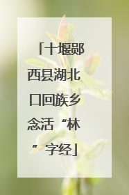 十堰郧西县湖北口回族乡念活“林”字经
