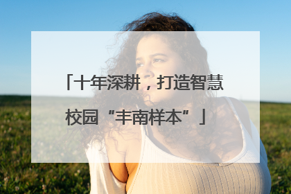 十年深耕，打造智慧校园“丰南样本”