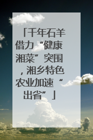 千年石羊借力“健康湘菜”突围，湘乡特色农业加速“出省”