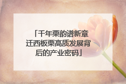 千年栗韵谱新章 迁西板栗高质发展背后的产业密码