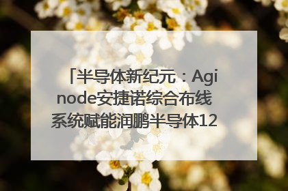 半导体新纪元：Aginode安捷诺综合布线系统赋能润鹏半导体12英寸集成电路生产线，携手共筑“芯”未来！