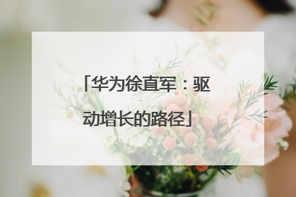 华为徐直军：驱动增长的路径