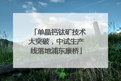 单晶钙钛矿技术大突破，中试生产线落地浦东康桥