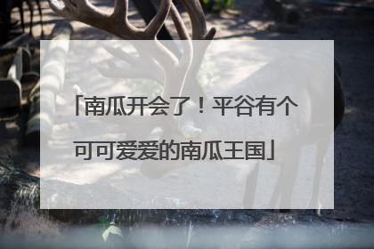 南瓜开会了！平谷有个可可爱爱的南瓜王国